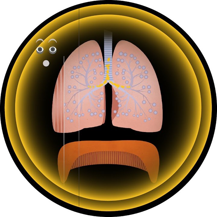 The Human Body Lab by Tinybop screenshot
