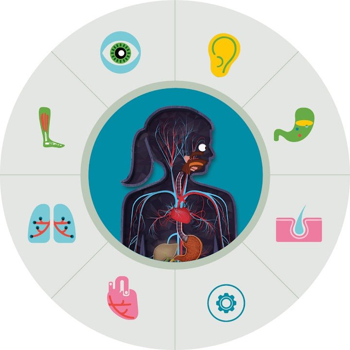 The Human Body Lab by Tinybop screenshot